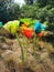 Colourful glass flowers art installation in a park