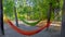 Colourful hammocks on wooden poles