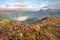 Colourful heather on the rugged fells of the Lake District with mountains in the distance and mist