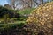 Colourful herbaceous border with daffodils, photographed in springtime in the St John`s Lodge Garden, London UK