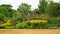 Colourful herbaceous border in a garden