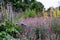 Colourful herbaceous border in the historic walled garden at Eastcote House Gardens, in the Borough of Hillingdon, London, UK