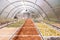 Colourful herbs in Solar dryer greenhouse for drying food and agriculture products