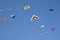 Colourful kites flying in blue sky