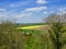 Colourful landscape from the castle