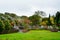 Colourful landscape of a rainy winter day at Kuirau Park. Steam is rising from natural hot pools hidden behind the trees