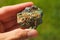 Colourful Lepidolite mineral from Brazil held in a hand