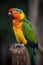 Colourful macaw parrot sitting on a wooden perch