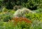 Colourful mature garden influenced by the naturalistic planting at Bressingham Gardens, Diss, Norfolk UK