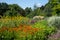 Colourful mature garden influenced by the naturalistic planting at Bressingham Gardens, Diss, Norfolk UK