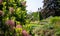 Colourful mature garden influenced by the naturalistic planting at Bressingham Gardens, Diss, Norfolk UK