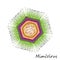 Colourful Mimi virus particle structure isolated