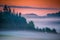 colourful misty dawn and forest landscape