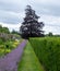 Colourful mixed herbaceous border at Oxburgh Hall, Norfolk UK. By the path are low growing clumps of purple Catmint.