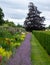 Colourful mixed herbaceous border at Oxburgh Hall, Norfolk UK. By the path are low growing clumps of purple Catmint.