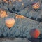 Colourful morning with balloons in Cappadocia