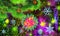 Colourful new year background with coronavirus ball