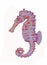 Colourful Painting of Seahorse on white background
