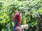 Colourful parrot bird sitting