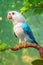 A colourful parrot from a cartoon character is sitting on a branch