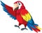 A colourful parrot character