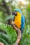 Colourful parrots bird