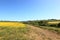 Colourful patchwork landscape of the Yorkshire wolds with flowering rapeseed crops in springtime