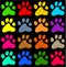 Colourful paws