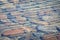 Colourful pebbles seen through crystal clear glacier melt water lake