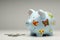 Colourful piggy bank with money