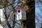 Colourful, pink patterned wooden birdhouses on a tree.