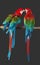 Colourful polygonal style design of parrots