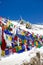 Colourful prayer flags at Khardung La