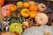 Colourful pumpkins at a market in October - autumn in the garden