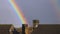 Colourful rainbow over English town house rooftops and chimneys, overcast day