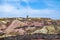 The colourful remains of the former copper mine Parys Mountain near Amlwch on the Isle of Anglesey, Wales, UK