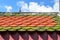 colourful roof tiles and blue sky background