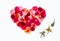 Colourful rose petals heart shape on white background