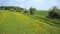 Colourful rural farm fields in springtime english countryside