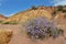 Colourful sandy rock formations of Skazka canyon,Issy-Kul