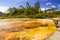 Colourful silica terrace formed by hot water algae growing in the geothermal area of Orakei Korako The Hidden Valley, Northern