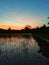 Colourful sky with paddy field and water