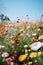 Colourful spring flowers at field over blue sky, created using generative ai technology