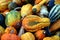 Colourful squash