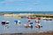 Colourful Staithes harbour full of brightly coloured bobbing fishing boats.