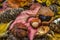 Colourful still life of pine cones, chestnuts and autumn leaves