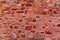 Colourful stone wall of the Red Fort