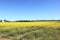 Colourful summer landscape of golden flowered rapeseed fields and patchwork farmland