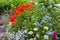 Colourful summer UK cottage garden border