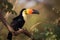 Colourful toucan sitting on a tree. Generative AI